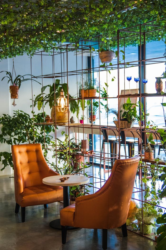 why-choose-us Inviting café corner with lush plants and cozy seating, perfect for relaxation.